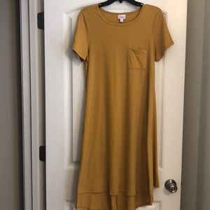 🆕 Lularoe Carly shirt dress
